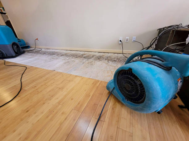 Professional Water Damage Repair technician working in Veyo, UT
